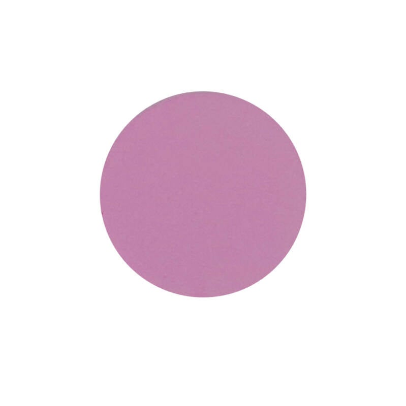 Pink Iris